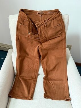 Judy Blue Rust Brown Ankle Crop Pants